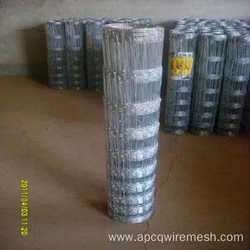 Premium Galvanized Hinge Joint Field Fence for Farm